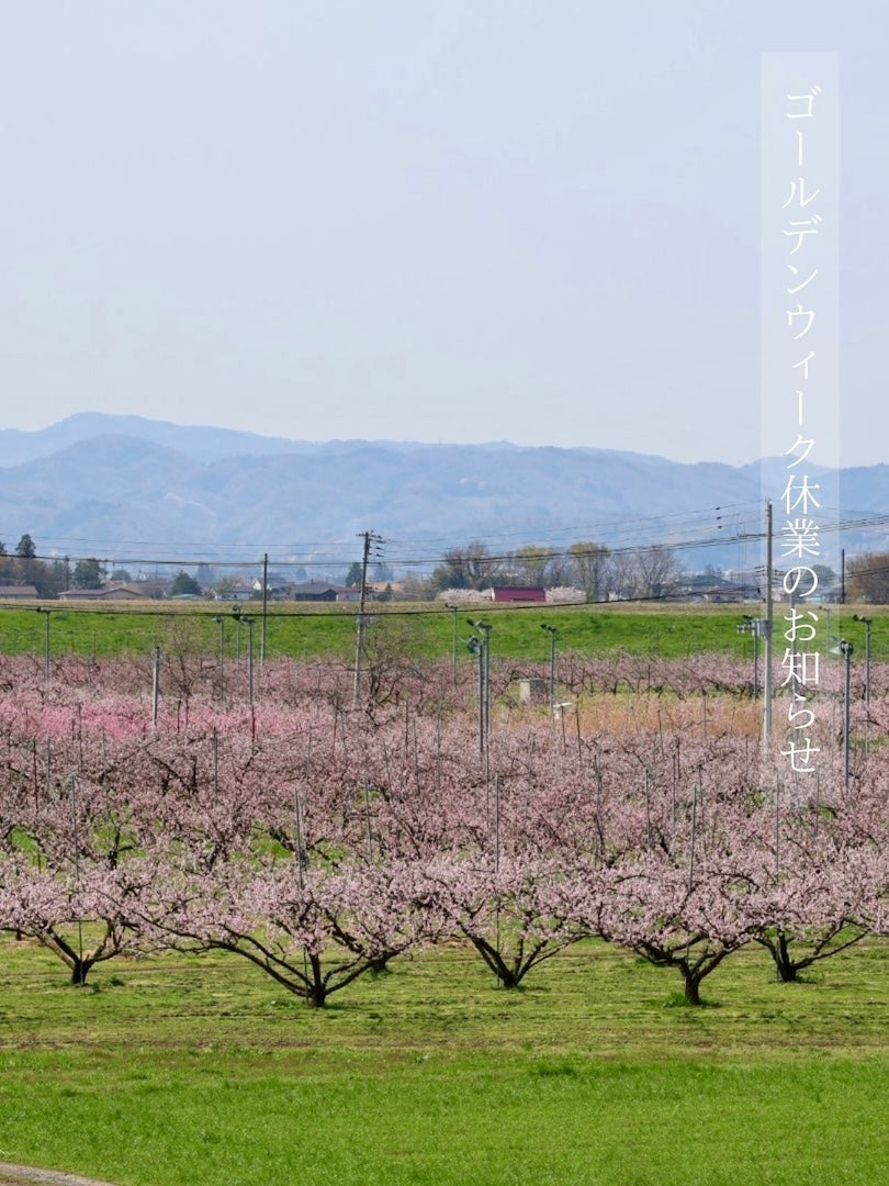 公式ストア】明日 わたしは 柿の木にのぼる