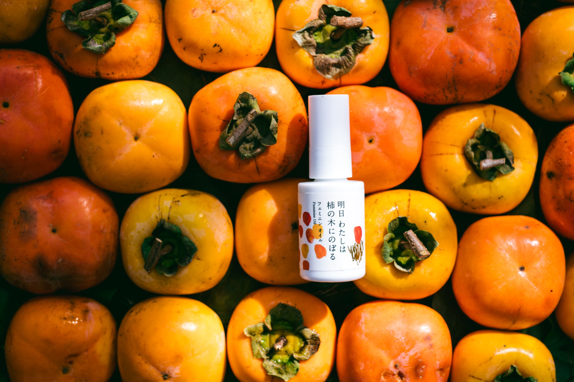 明日わたしは柿の木にのぼるセット all – 【公式ストア】明日 わたしは 柿の木にのぼる